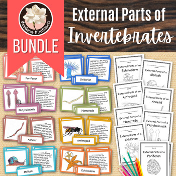 Preview of Parts of Invertebrates Cards Booklet Montessori Biology Parts of Animals Zoology