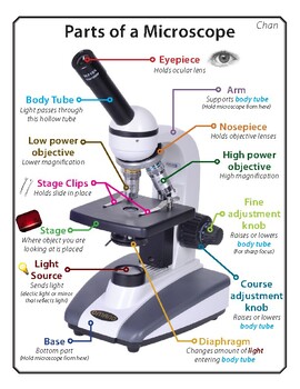 Parts of Microscope by JLeyBlay | TPT