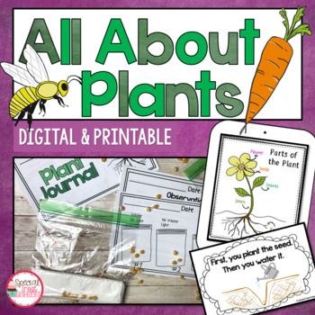 Preview of Parts of Plant Activities and Basic Needs of Plants Activities