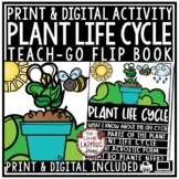 Parts of Plant Life Cycle Writing Prompt, Spring Science A
