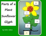 Parts of  Plant Sunflower Glyph