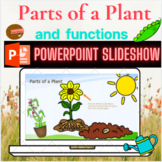 Science: Parts of Plant and their Functions Powerpoint Slides