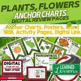 Parts of Plants Anchor Charts, Posters, Word Wall, Activit