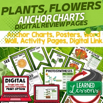 Preview of Parts of Plants Anchor Charts, Plants Posters Plants Activity Plants Word Wall