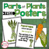 Parts of Plants Posters