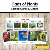 Parts of Plants Sorting Cards & Control Chart