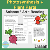 Parts of Plants We Eat and Photosynthesis Reading and Post