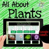 Parts of Plants and Plants Life Cycle Digital