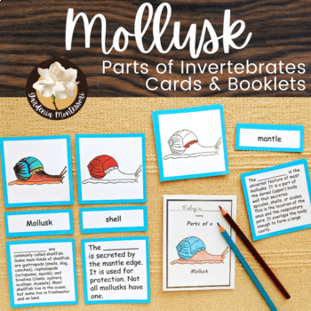 Preview of Parts of Snail Mollusk Cards Zoology - Montessori Parts of Animals Invertebrates