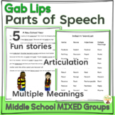 Parts of Speech Activity for Middle School Mixed Groups