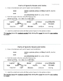 Parts of Speech - Entrance/Exit Slips - One-Sheet Handouts