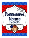 Possessive Nouns - Using Apostrophes FREEBIE