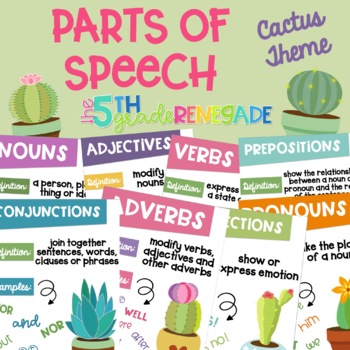 Preview of Parts of Speech Posters ~Cactus Succulent Theme~  anchor charts