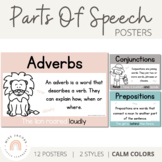 Parts of Speech Posters | MODERN RAINBOW Color Palette | C