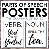 Parts of Speech Posters: The Grammar and Origins of Slang