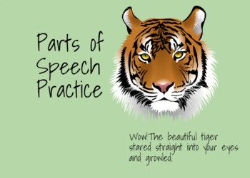 Preview of Parts of Speech Practice with Boom Cards