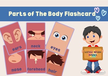 Preview of Parts of The Body Flashcard - ESL ELL & Young Learners