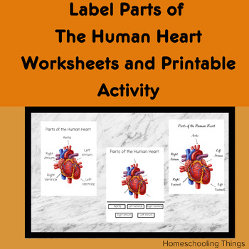 Labelled Heart Display Poster, Primary Resources