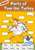 Freebie! Parts of Tom the Turkey (Thanksgiving Activities)