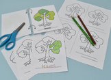 Parts of Tree Coloring Sheets with Control Cards -Montesso