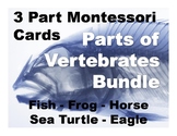 Parts of Vertebrates Montessori Three Part Vocabulary Card