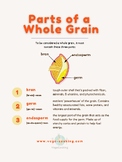 Parts of Whole Grain Poster Visuals