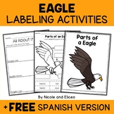 Parts of a Bald Eagle Activities + FREE Spanish