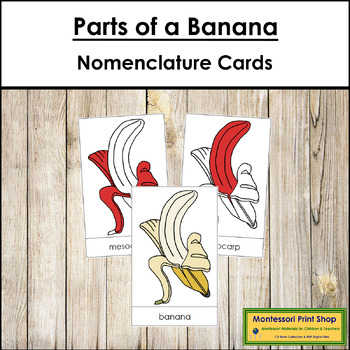 Preview of Parts of a Banana Cards (red highlights) - Montessori Nomenclature