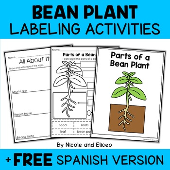 Preview of Parts of a Bean Plant Activities + FREE Spanish