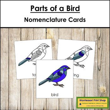 Preview of Parts of a Bird 3-Part Cards - Montessori Nomenclature