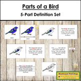 Parts of a Bird Definition Set - Montessori Nomenclature