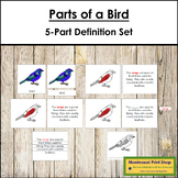 Parts of a Bird Definition Set (red highlights) - Montesso