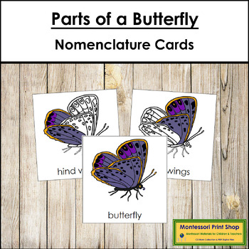 Preview of Parts of a Butterfly 3-Part Cards - Montessori Nomenclature