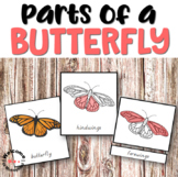 Parts of a Butterfly 3 Part Cards for Hands-on Activities
