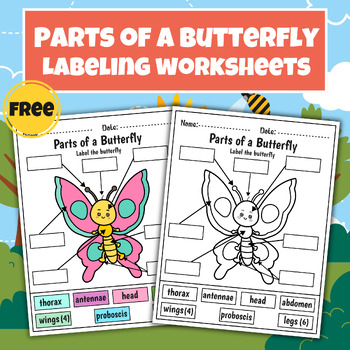 Preview of Parts of a Butterfly Labeling Worksheets Cut & Paste | Butterfly Anatomy