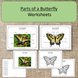 Parts of a Butterfly Montessori Science Actvities Preschoo
