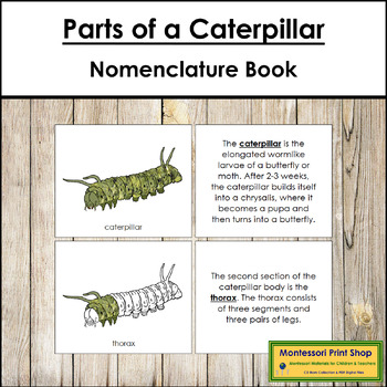 Preview of Parts of a Caterpillar Book - Montessori Nomenclature
