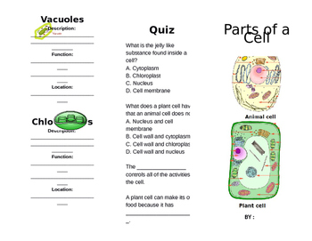 Parts of a Cell Booklet (Plants and Animals) by Lindsay Beaumont's Store