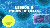 Parts of a Cell (Lesson & Labs): Middle School Science