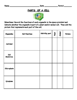 Parts of a Cell - Organelles - Cell = City WORKSHEET by Sweet D | TpT