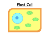 Parts of a Cell Powerpoint