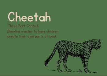 Preview of Parts of a Cheetah Three Part Cards