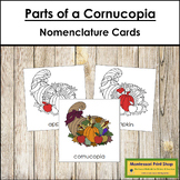 Parts of a Cornucopia 3-Part Cards (red highlights) - Mont