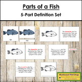 Parts of a Fish Definition Set - Montessori Nomenclature