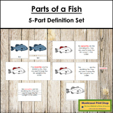 Parts of a Fish Definition Set (red highlights) - Montesso