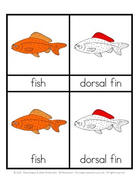 Preview of Parts of a Fish - Montessori 3 part cards