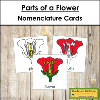 Preview of Parts of a Flower 3-Part Cards - Montessori Nomenclature