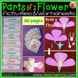Parts of a Flower Activities -Worksheets -Flash Cards -Cra