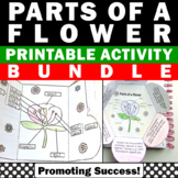 Parts of a Flower Plant Craft Diagram Labels Cut and Paste