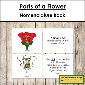Preview of Parts of a Flower Book - Montessori Nomenclature